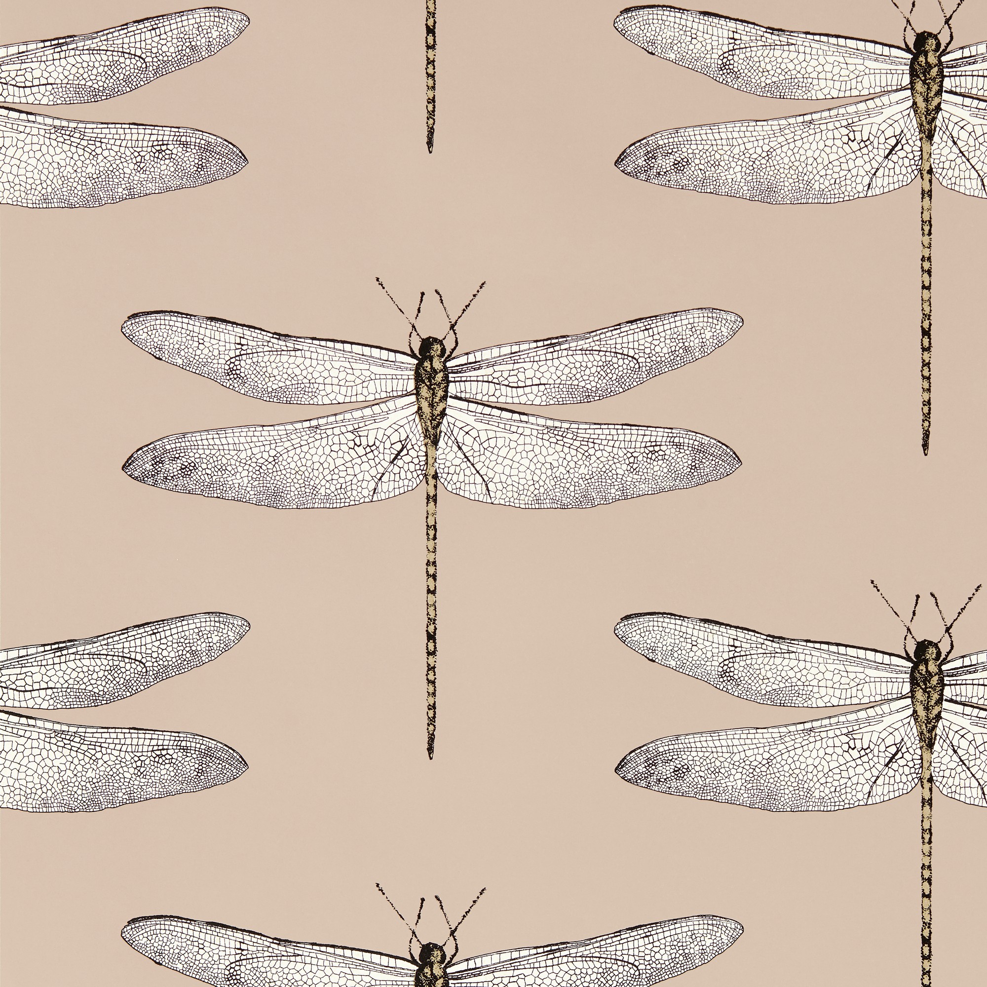 Demoiselle Wallpaper 113142 By Harlequin In Positano First Light Taupe